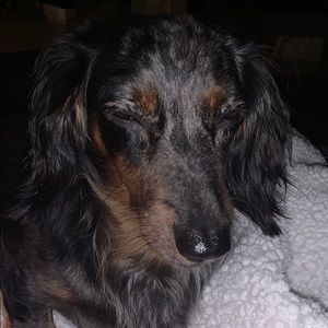 Meet your Posher, Reece